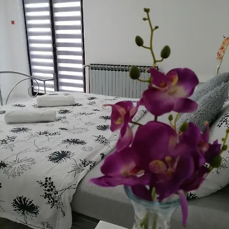 Slap Apartment